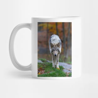 Timber Wolf Mug